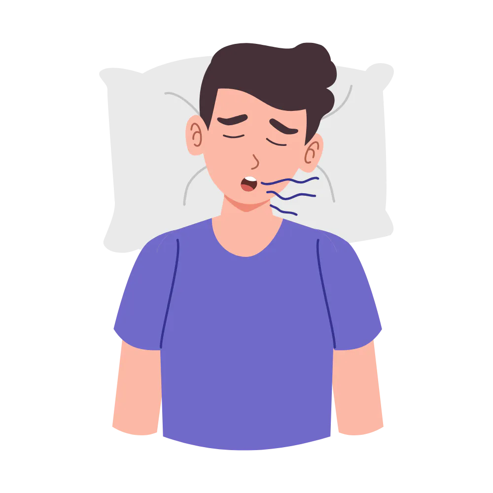 The Stop Snoring And Sleep Apnea Program